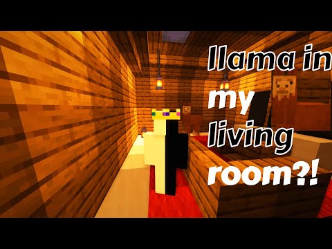 Llama in my living room: a bedwars montage's Avatar