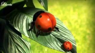 Video thumbnail of "BUBAMARA 🐞  Dječja pjesmica"