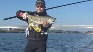 久慈川でサケ釣りに挑戦 久慈川でサケ釣りに挑戦