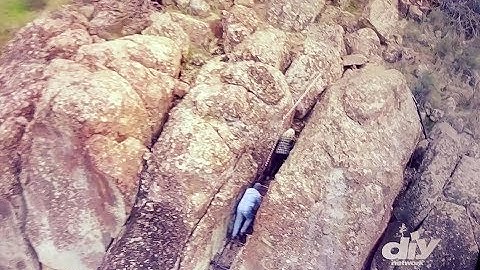 Giant Fingers or Toes you Decide