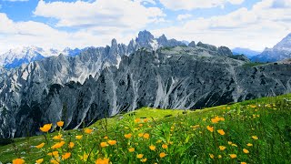 4K UHD Peaceful Meadow with Nature Sounds | Wildflowers and Alpine Mountain view