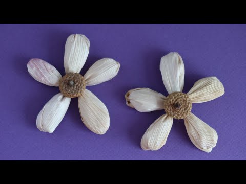 Video: Unglaubliche Zeichnung Für Eine Bescheidene Blume