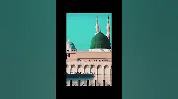 19 August 2025 