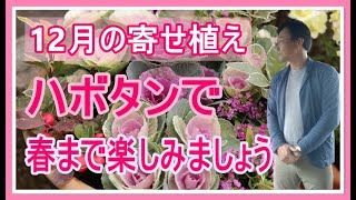 [ガーデニング] 12月の寄せ植え「年間100鉢以上の寄せ植えを作るプロガーデナーが教える、ハボタンを使った春まで楽しむ寄せ植え作りのコツ」