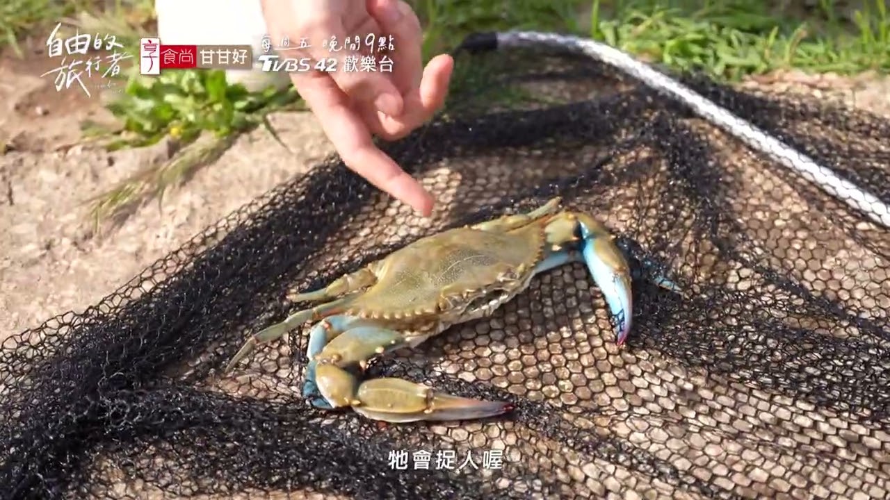 地中海私房釣點 用雞腿釣藍蟹？現釣鮮煮超美味～#自由的旅行者