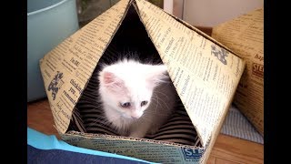 【簡単おしゃれなダンボール猫ハウスの作り方】とんがり屋根の六角形ダンボール猫ハウス 包装紙やリメイクシートでおしゃれに装飾 自作キャットハウスを作ろう ダンボール工作 手作り猫グッズ