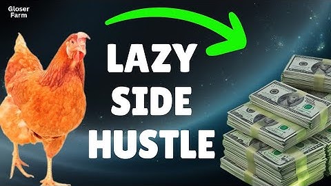 Why poultry farming is the easiest side hustle for busy people looking for extra money.