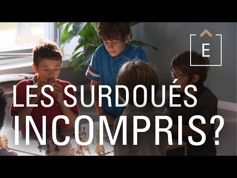 Surdoués, HP... - Qui sont-ils ? | Dans la tête d'un surdoué