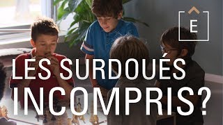 Surdoués, HP... - Qui sont-ils ? | Dans la tête d'un surdoué screenshot 5