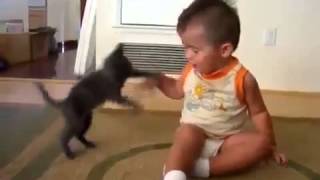 Котенок нападает на малыша Котенок нападает на малыша