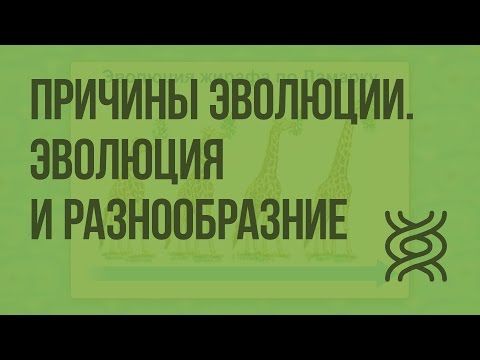 Причины эволюции. Эволюция и разнообразие. Видеоурок по биологии 7 класс
