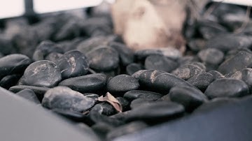 Smart Gardener - Kickstarter Sneak Peek