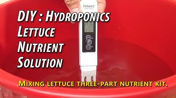 DIY: Hydroponic Lettuce - How To Mix Nutrient Solution, Measure EC & pH Levels, and Make Adjustments