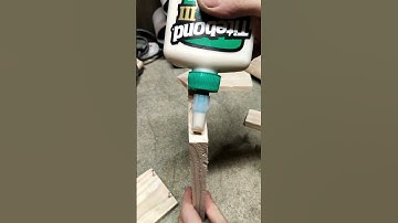 Simple DIY Bird Feeder! #shorts