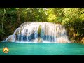 🔴 Relaxing Zen Music 24/7, Stress Relief Music, Sleep Music, Meditation Music, Study, Forest Sounds