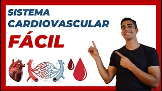 🩸 SISTEMA CARDIOVASCULAR (explicación FACIL) SISTEMA CIRCULATORIO