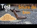 Test sciure de bois  paillis antilimace et escargot naturel en permaculture