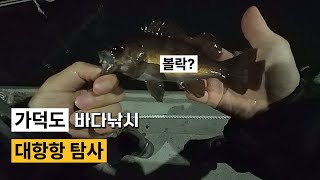 가덕도 대항항 낚시/전갱이/볼락/차박/#부산바다#바다낚시#루어낚시#아징