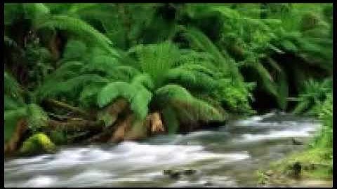 سورة البقرة - الشيخ هزاع البلوشي - قناة سعيد خلفان الشبلي للقران والسنة