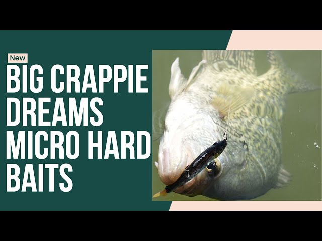 Micro Glide Baits and Micro Lipless Crankbaits for