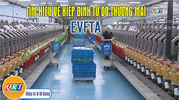 Tìm hiểu về Hiệp định thương mại tự do EVFTA | QRT