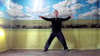 Understanding the internal structure of Chen style Tai Chi