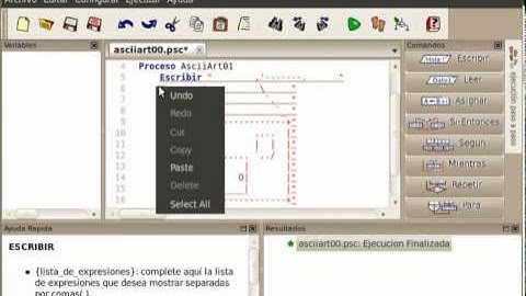 animacion en pseint c00