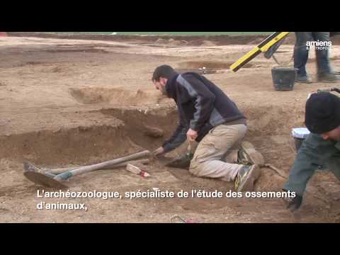 Journées européennes de l'archéologie 2020   Rivery