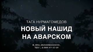 Нашид - на Аварском. Тага Нурмагомедов.