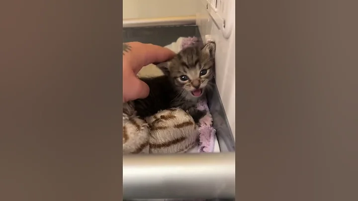 Freebie the Bottle Baby