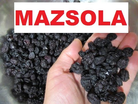 Videó: Hogyan Készítsünk Mazsolát