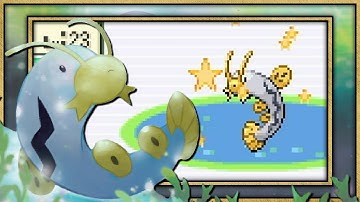 Live Shiny Barboach on Sapphire after 1,200 FEs