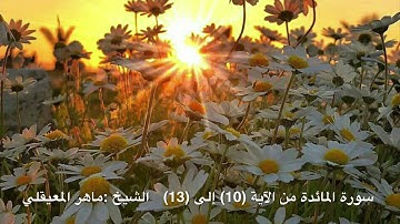 سورة المائدة من الآية (10) إلى (13)   الشيخ :ماهر المعيقلي مكررة سبع مرات