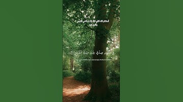 تدبر آيات الله يزيد القلب نورًا#القرآن #تدبر #آيات_الله #نور_القلب #القرآن_الكريم