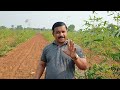 3011-  MH - bamboo farming  - 7697438222 -Ganesh bhai kisan  के साथ  - किसान पाठशाला  BALRAM  KISAN