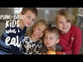 Plant-Based Kids | What My Kids Eat in a Day