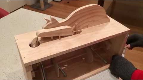 Cat and mouse automaton