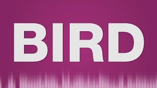 Bird Call SOUND EFFECT - Vogel Gezwitscher SOUND