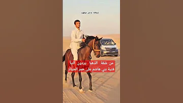 من شقة الذهبا يردون النبأ فتية بني هاشم على حمر الجياد فالكم البيرق المعتاد 