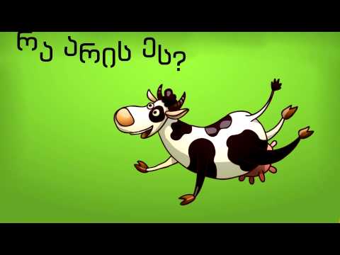 როგორ უპასუხებ შეკითხვებს? - ვიდეო-ტესტი