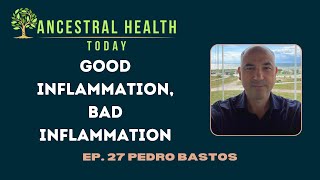 Pedro Bastos - Good Inflammation, Bad Inflammation - (Ancestral Health Today Episode 027) by AncestryFoundation 432 views 1 month ago 1 hour, 31 minutes