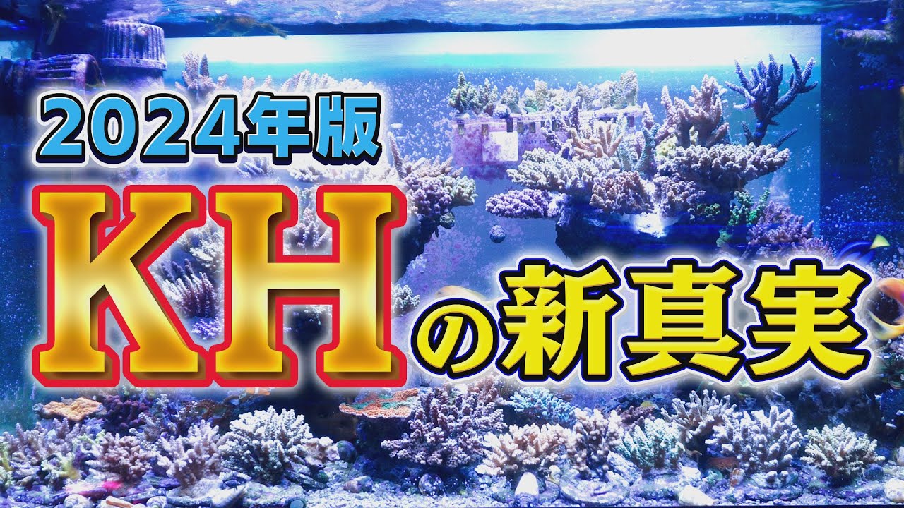 2024年版 《サンゴ水槽》 最新のKHの考え方【2024年1月号 vol.2】