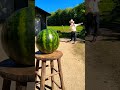 #shorts #shortvideo #shortsfeed #funnyvideo #funny #funnyshorts #prank #prankvideo #watermelon