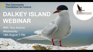 Birds Connect Dalkey Island Webinar - 18th August 2021 by BirdWatchIreland 452 views 2 years ago 49 minutes