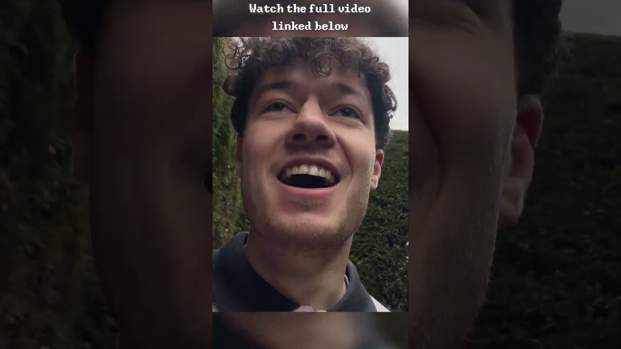 Lost in a Cat Maze in South Korea #speedrun #jeju #southkorea