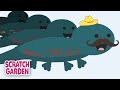 Salamander Quiz