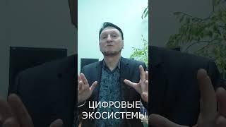 Что такое цифровые экосистемы