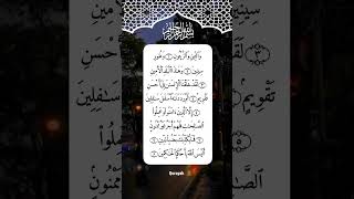 SURAH AT-TIN (سورة التين) 🤍 Egzon Ibrahimi ✨#egzonibrahimi #surahattin