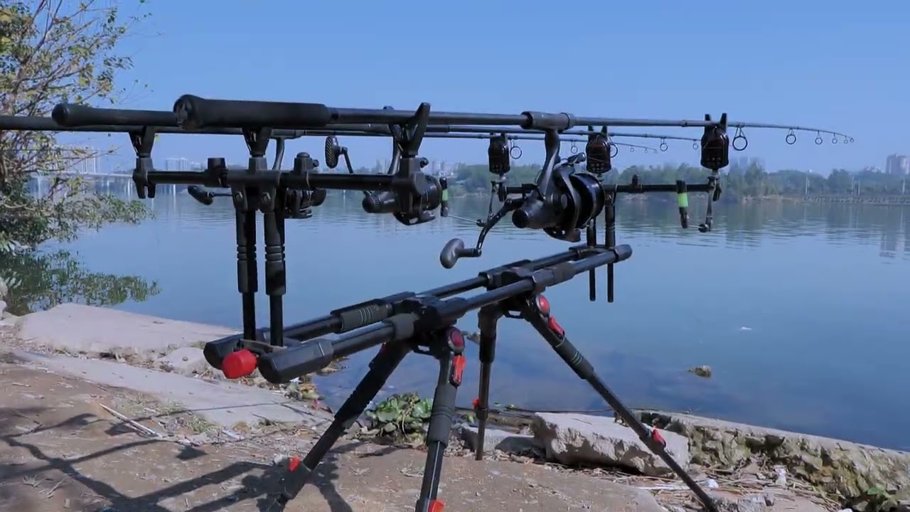 Boatman Carp Rod Pod P19 #ocean  #sea #oceanlife #fish #fishing #fishinglife #carpfishing