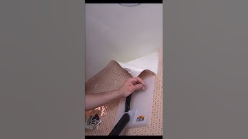 BEST Tool To Remove Wallpaper?!